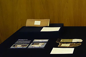 Photograph of the display.