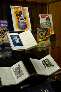 Overview of materials on display, showing a cradled book and two pages from a very large set of prints.